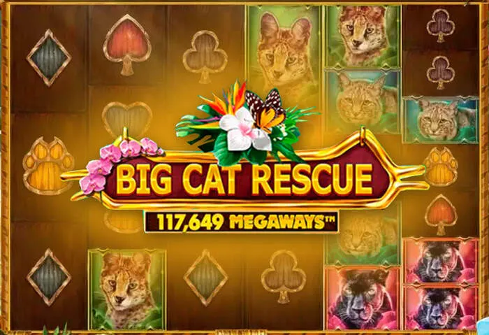 Guide complet des méthodes de paiement Koi Fortune Casino